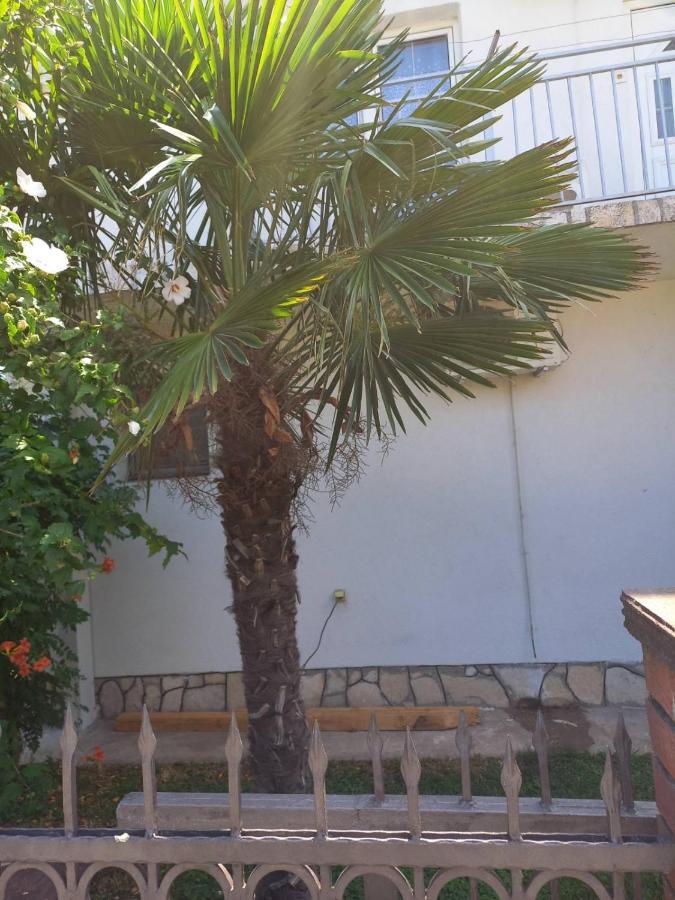 Traveler'S Rest - Near Podgorica Airport Hostel Mitrovici  Ngoại thất bức ảnh